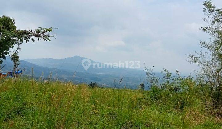 Tanah Murah Sukamakmur Bogor Hak Milik Best  2