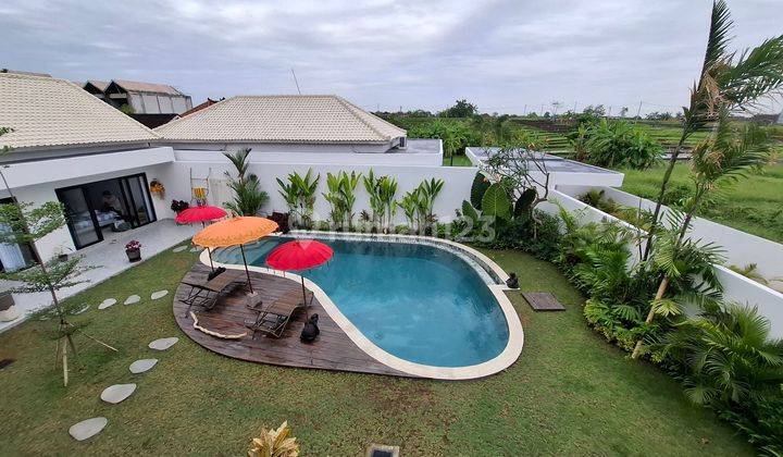 Beautiful Villa In Canggu Area 2