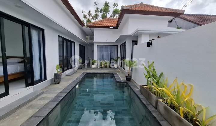 Brand New Villa For Rent In Umalas Area Brand New Villa For Rent In Umalas Area