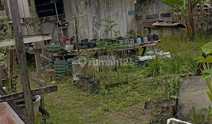 Tanah siap bangun sdh di tembok 1