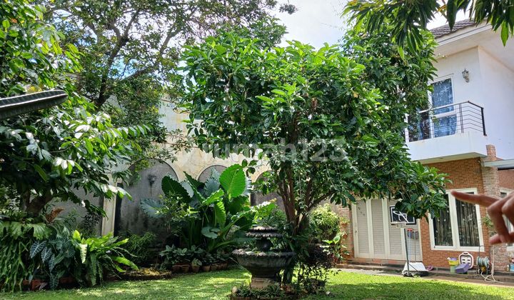 Price #njop#rare#hiddengem /private Area #westpejaten.very.close#pasarminggu.#warungbuncit#pancoran#tbsimatupang#kuningan #cliffharhaterjungpayung From 26m Down to 16m #njop.beautiful house #westpejaten #njop Shady House, lush well-maintained hidden gem 2
