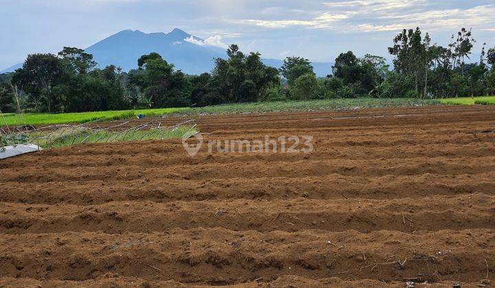 Cocok Buat Villa Tanah Super Flat Viu Gunung 2