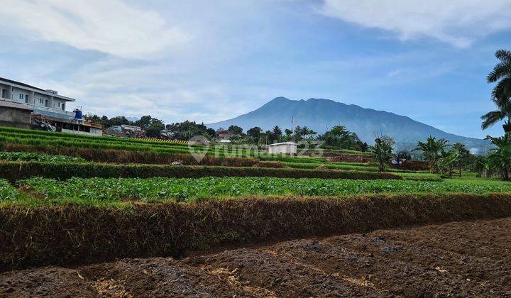 Cocok Buat Hotel Atau Kos Kosan Samping Diklat Ma 1