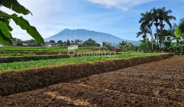 Cocok Buat Hotel Atau Kos Kosan Samping Diklat Ma 6