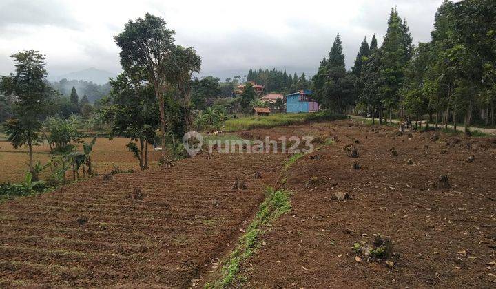 Lokasi cocok buat diklat,atau resot viu ok mdpl ok 7