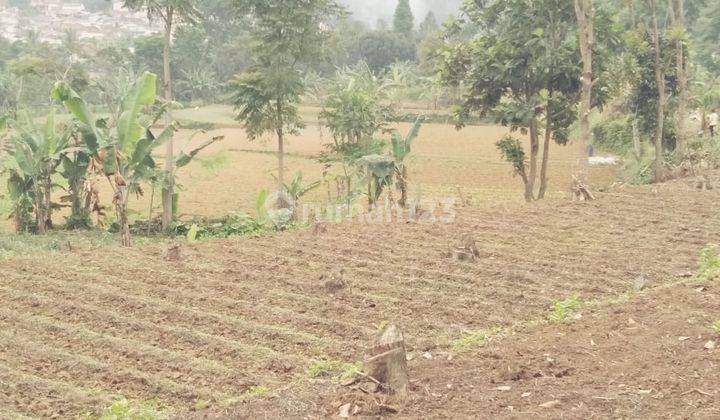 Lokasi cocok buat diklat,atau resot viu ok mdpl ok 6