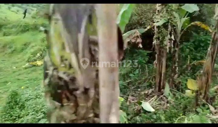 Lokasi pas buat villa dan buat peternakan ikan ada aliran air yg bersih 2