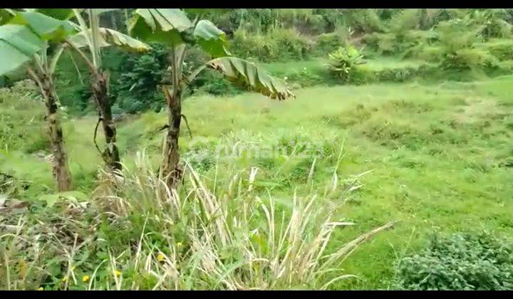 Lokasi pas buat villa dan buat peternakan ikan ada aliran air yg bersih 3