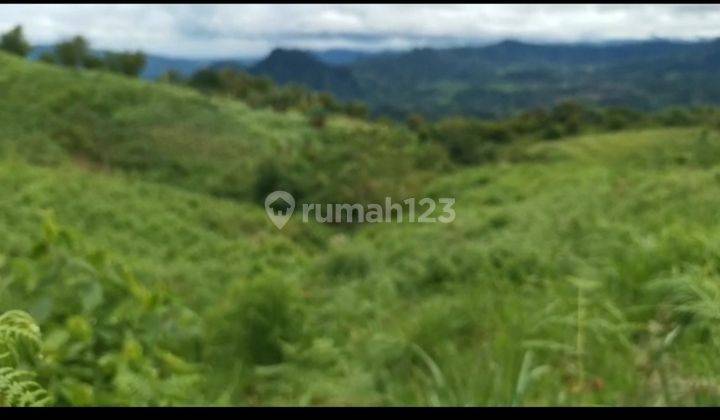 Lokasi cocok buat pertanian atau perekebunan  1