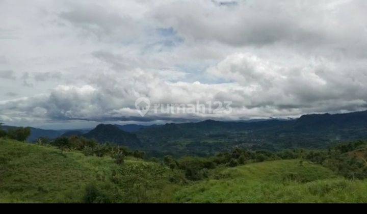 Lokasi cocok buat pertanian atau perekebunan  4