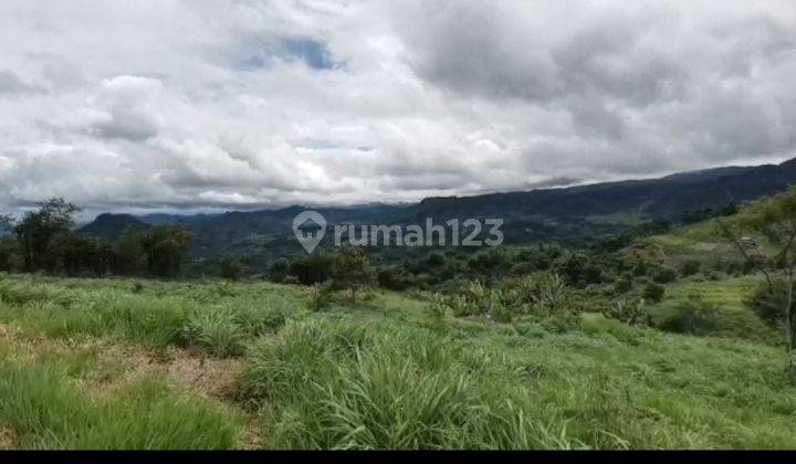 Lokasi cocok buat pertanian atau perekebunan  8