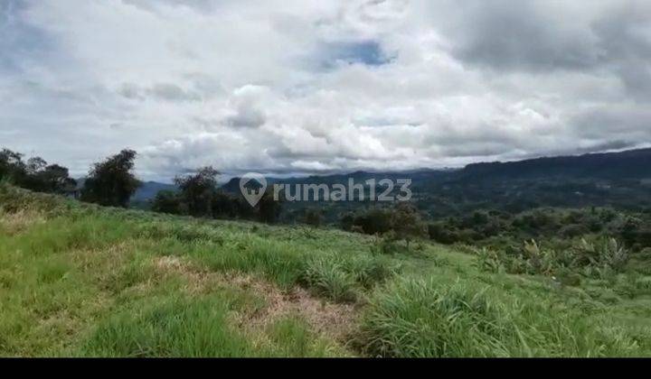 Lokasi cocok buat pertanian atau perekebunan  12