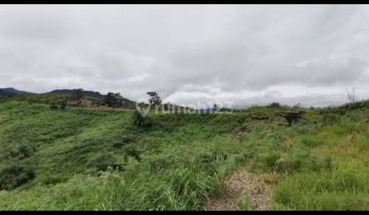 Lokasi cocok buat pertanian atau perekebunan  14