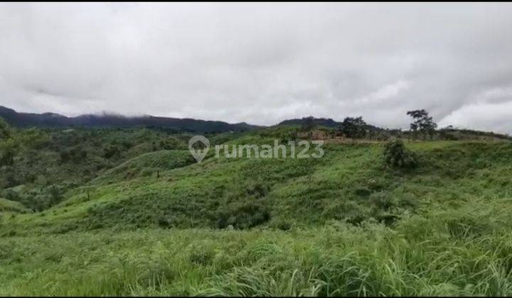 Lokasi cocok buat pertanian atau perekebunan  15