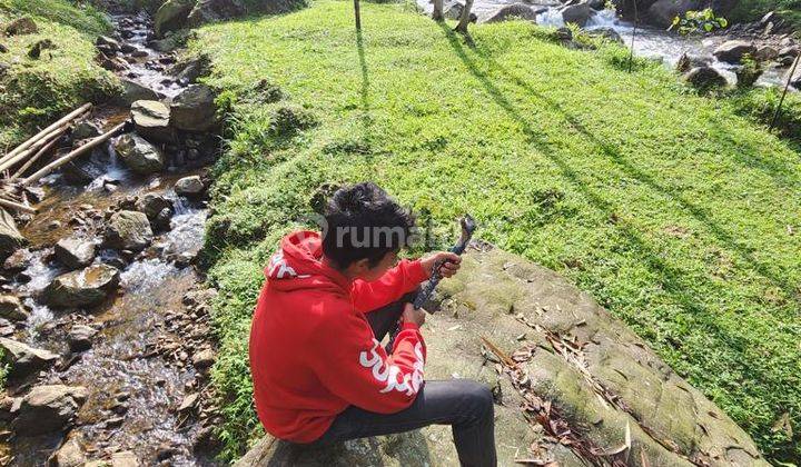 Suasana alam dengan aliran sungai yg jernih 2