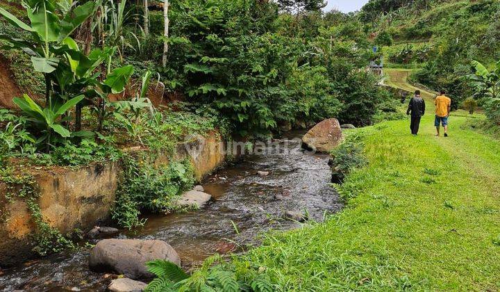 Suasan asri dan villa kayu 2km dari jalan raya puncak 1