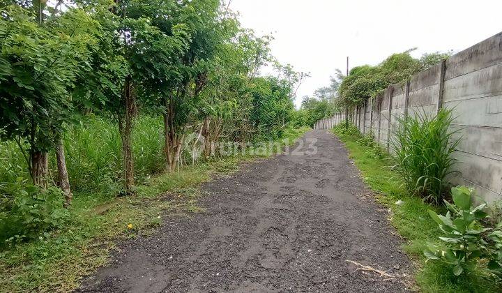 Promo Dp 0 Rumah Baru SHM di Jimbaran, Badung 14
