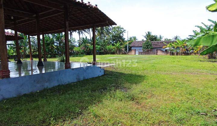 Jual Tanah di Jl Sentolo, Yogyakarta SHM 1.709 m² 1