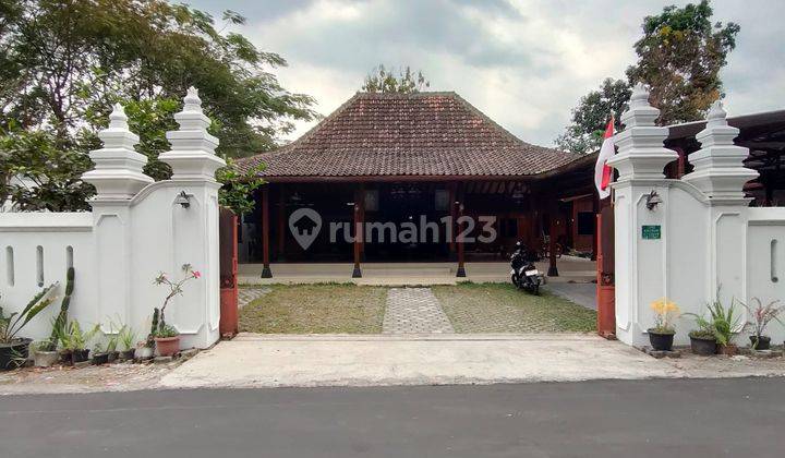 Rumah Guesthouse Dengan Model Joglo Di Jual Jogja 1