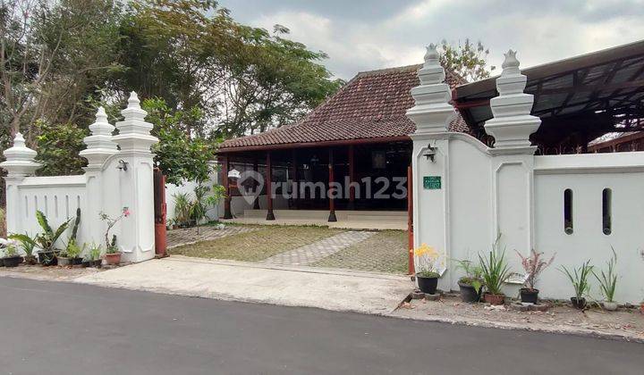 Rumah Guesthouse Ala Joglo Jawa Buat Investasi Jangka Panjangmu 2