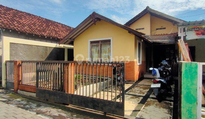 Dipercantik Untuk Guesthouse Pasti Provitnya 1