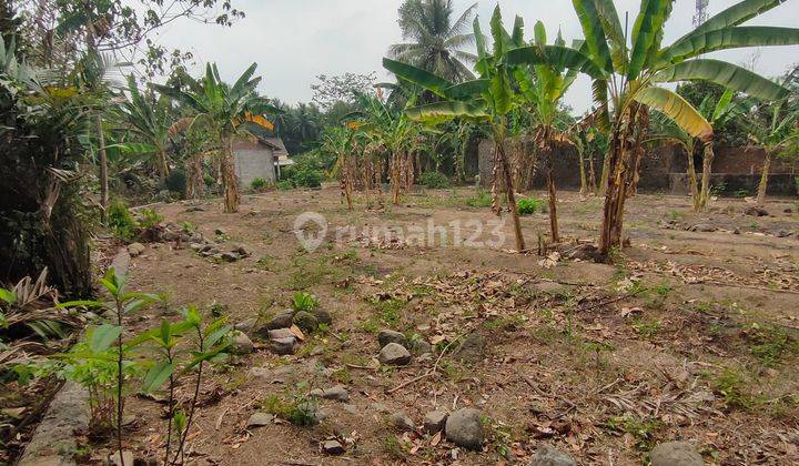 Tanah 930 m² Pinggir Jalan Aspal Mobil Masuk di Turi, Sleman 2