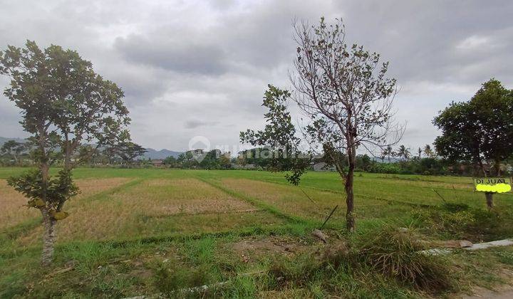 Tanah Sawah SHM 2.420 m² di Sleman Dekat Rsud Prambanan 2