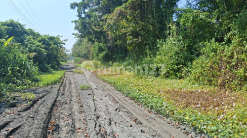 Dijual Tanah daerah Madukoro Semarang Barat(A4434) 1