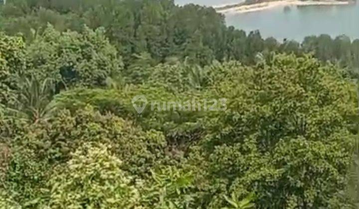 Dijual Tanah Pantai Mutun Lampung Luas Tanah 12580 Dekat Pantai 1