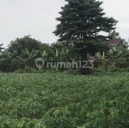 FOR SALE Bilabong Complex Plot Cimanggis Bogor Area 2457 m2