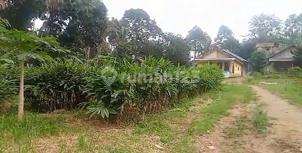 FOR SALE Land in West Tanjung Karang Lampung Area 5500 m2 Certificate of Ownership