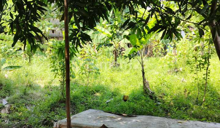 DIJUAL Kavling Komersial Klari Karawang Timur Luas 7700 m2 SHM