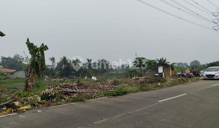 DIJUAL Kavling di Jl. Sukamandi Raya, Batu Ceper Luas 5010 m2 DIJUAL Kavling di Jl. Sukamandi Raya, Batu Ceper Luas 5010 m2