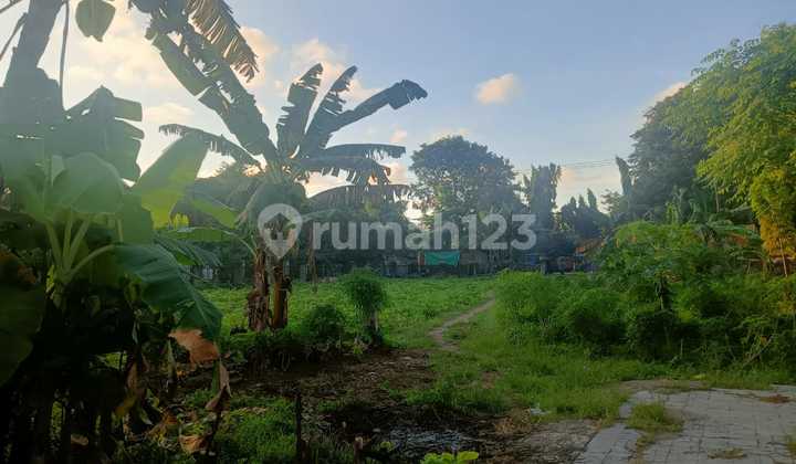 DIJUAL Tanah di Teluk Naga Luas Tanah 4255 m2 2