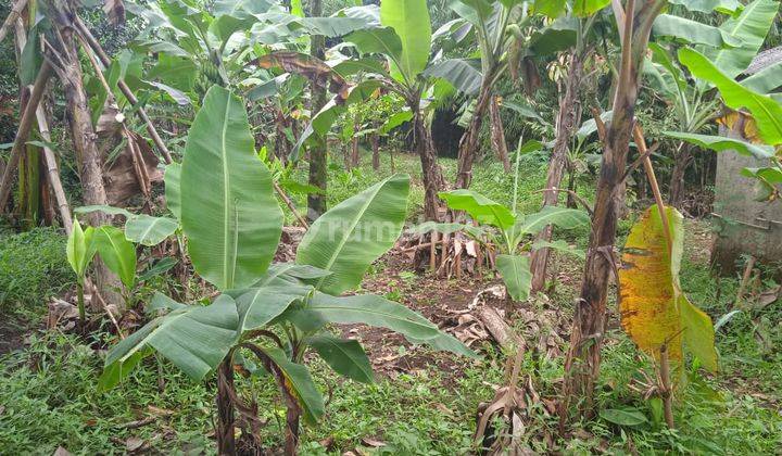 Bogor Bojong Gede Tanah Jual Sangat Murah 1