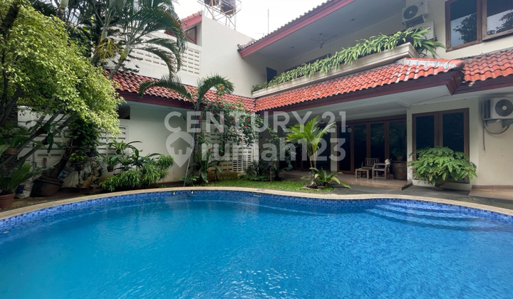 Area Tenang Rumah Homey Dijual Dengan Swimming Di Kemang Area Tenang Rumah Homey Dijual Dengan Swimming Di Kemang