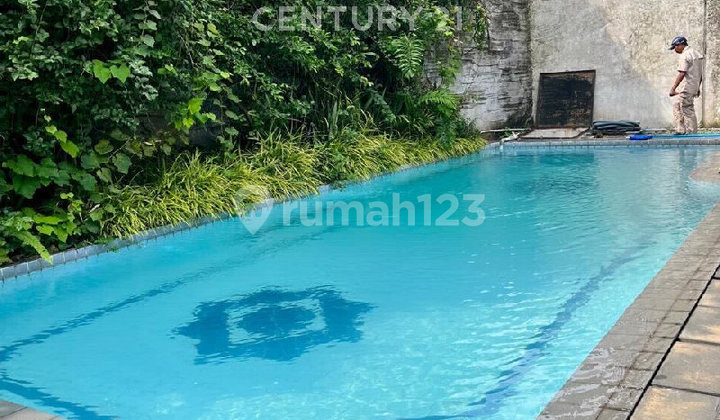 Rumah 1 Lantai dengan Halaman Luas dan Kolam Renang di Kemang Rumah 1 Lantai dengan Halaman Luas dan Kolam Renang di Kemang