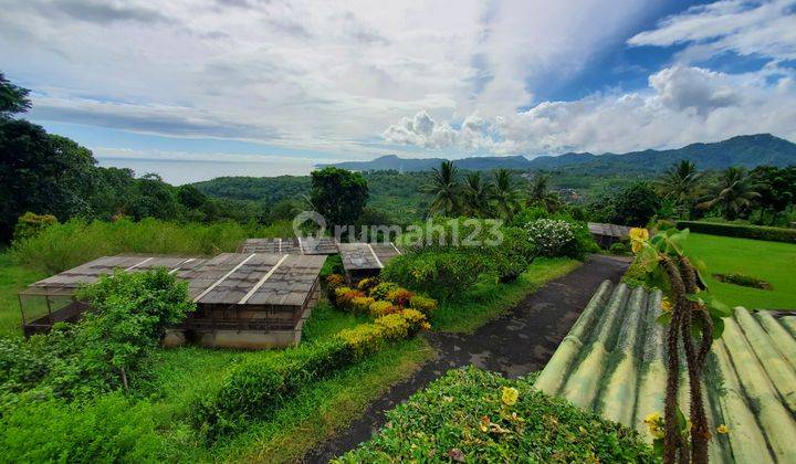 Tanah kebun 15 hektar plus rumah villa seluas 1000 m² view laut 4