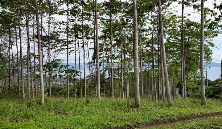 Tanah kebun 15 hektar plus rumah villa seluas 1000 m² view laut 12