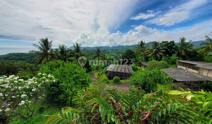 Tanah kebun 15 hektar plus rumah villa seluas 1000 m² view laut 14