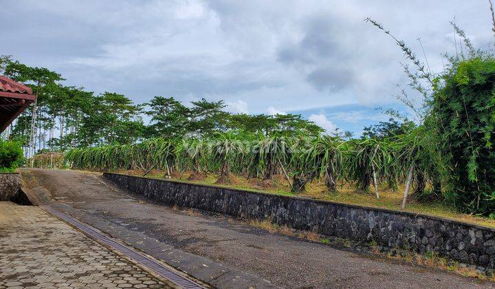 Tanah kebun 15 hektar plus rumah villa seluas 1000 m² view laut 23