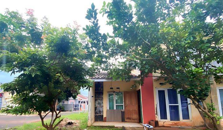 Rumah di Bringin, Ngaliyan Lahan Luas Cocok Untuk Kebun Minimalis 5