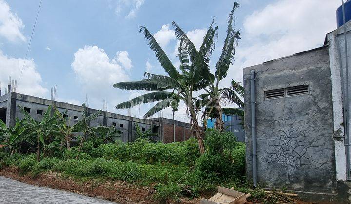 Tanah Murah di Banyumanik, Semarang Cocok Untuk Investasi 1