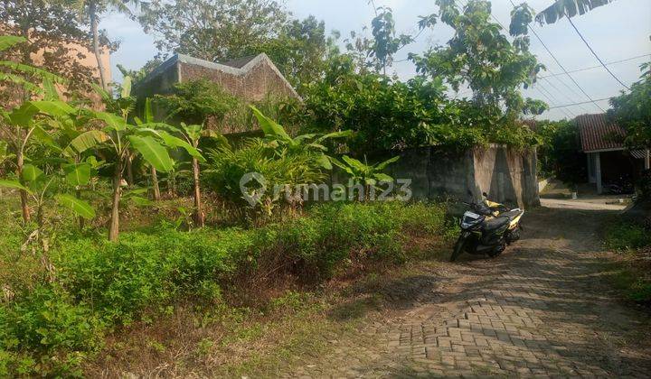 Tanah Strategis di Mulawarman Dekat Undip Prospek Investasi 6