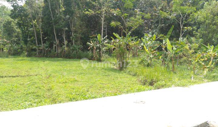 Tanah Kavling Murah View Gunung di Blotongan, Sidorejo SHM 2
