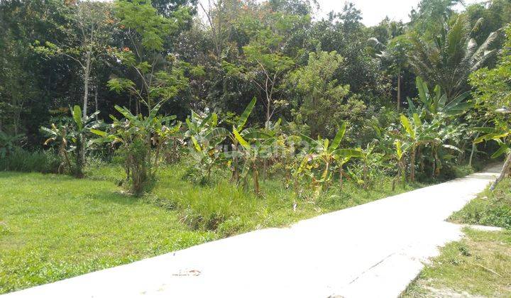 Tanah Murah Dekat Kampus Uin Salatiga, SHM Ready  2
