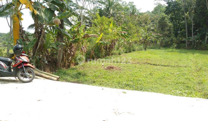 Tanah Murah Dekat Kampus Uin Salatiga, SHM Ready  1