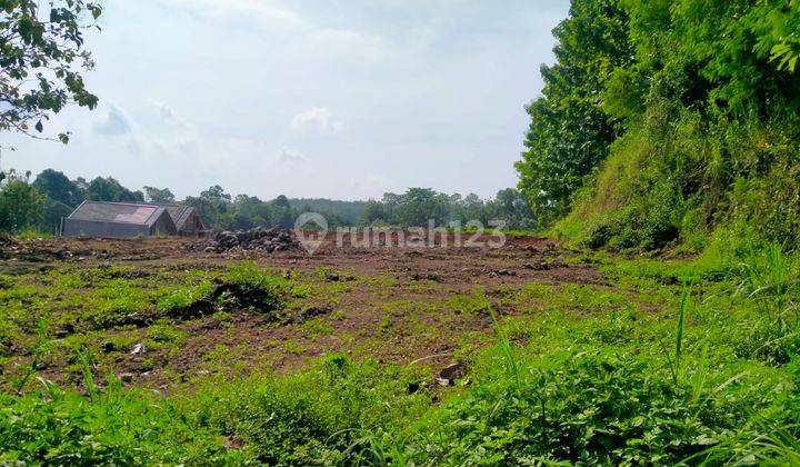 Tanah Bagus Strategis di Ngadirgo Mijen Dekat Bsb City 1