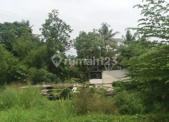 Tanah Empang 800 m² di Parung (Eks. Peternakan Ayam) 1
