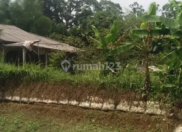 Tanah Empang 800 m² di Parung (Eks. Peternakan Ayam) 2